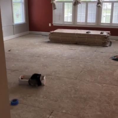 Flooring 161
