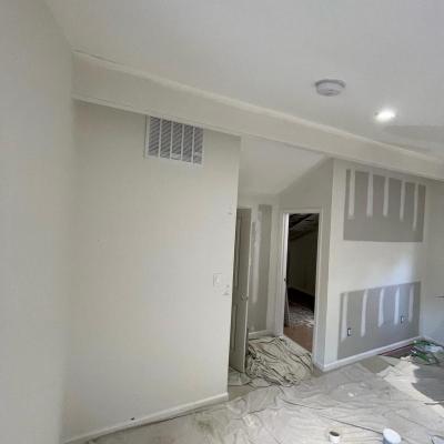 Home Renovation - Painting